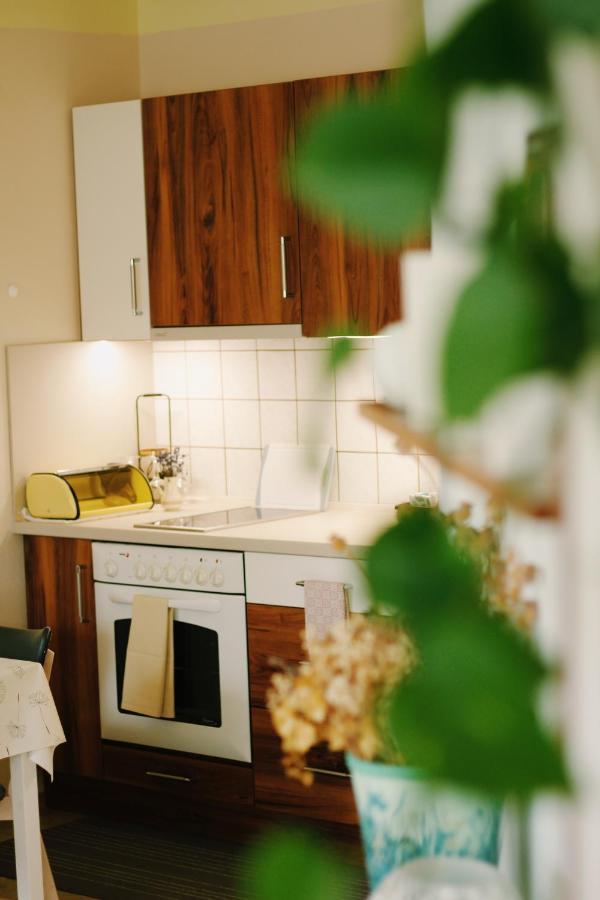 Apartman "Pod Rokem" Susice Ngoại thất bức ảnh
